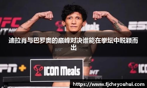 迪拉肖与巴罗奥的巅峰对决谁能在拳坛中脱颖而出